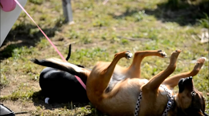 ������ˣʱ���ֳ�������