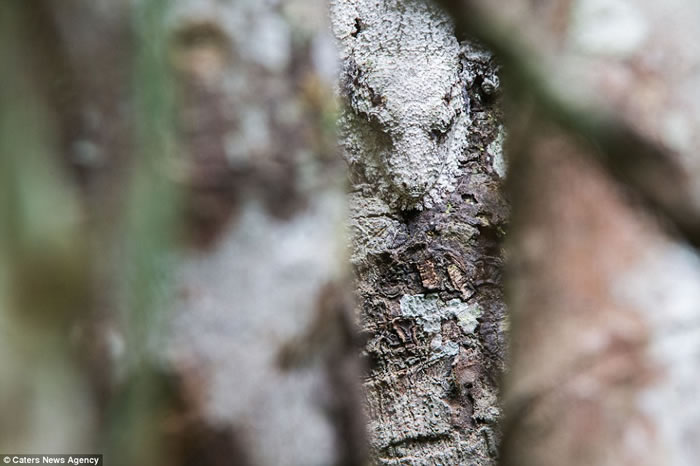 Ӣ������ѧѧ���������˹�ӵ���׽�������������Ȼ�����е���Ƭ