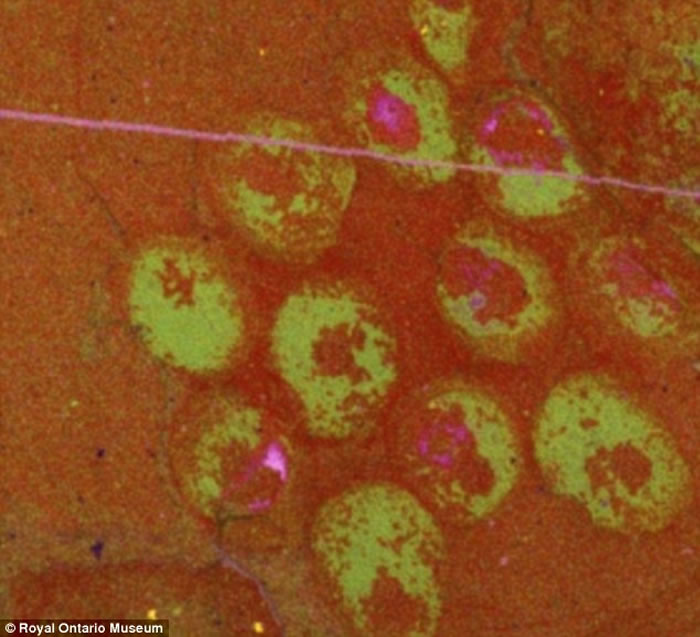 оԱָηָһ˽⺮ʹ󱬷ڼ䣬ﷱֳ