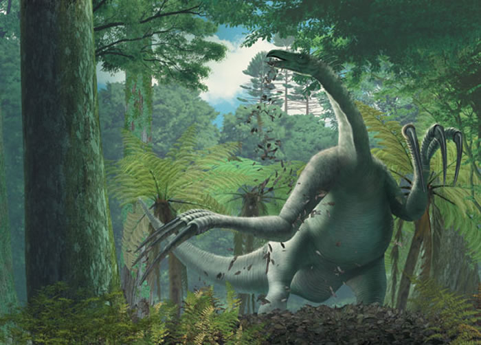 ������û�б�������������צ����