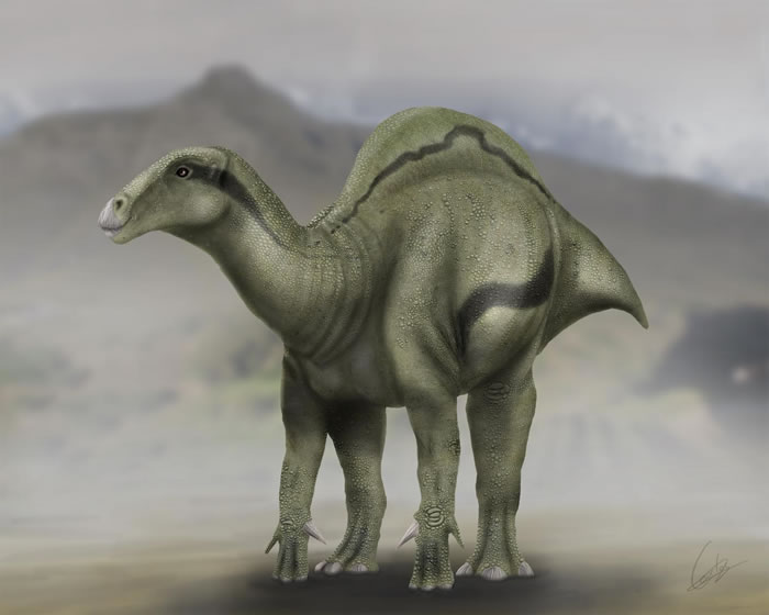 禽龙类新恐龙物种Morelladon beltrani复原图