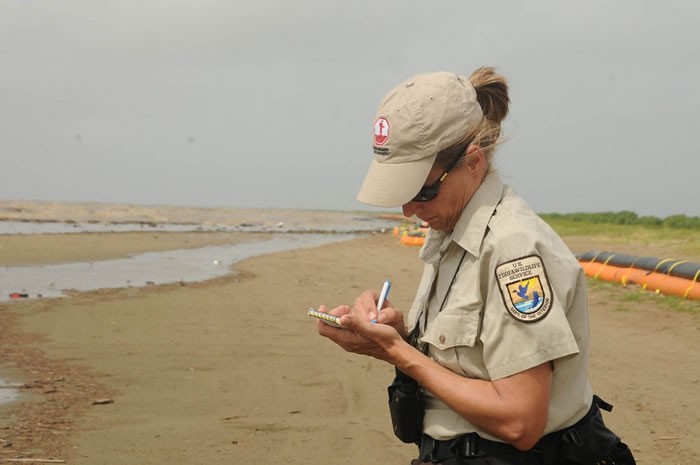 美国渔业与野生动物服务署员工巡视路易斯安那州海滨的野生动物