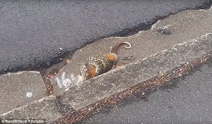 С�������൱������������Ĳ���