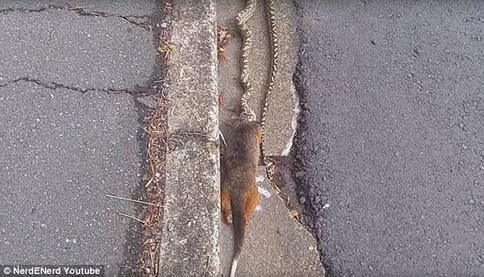 С�������൱������������Ĳ���