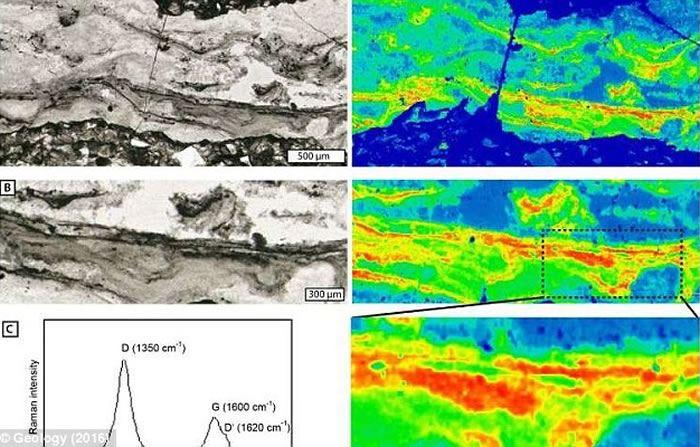 南非巴伯顿绿岩带的地表洞腔中发现30亿多年前微生物生命体的证据