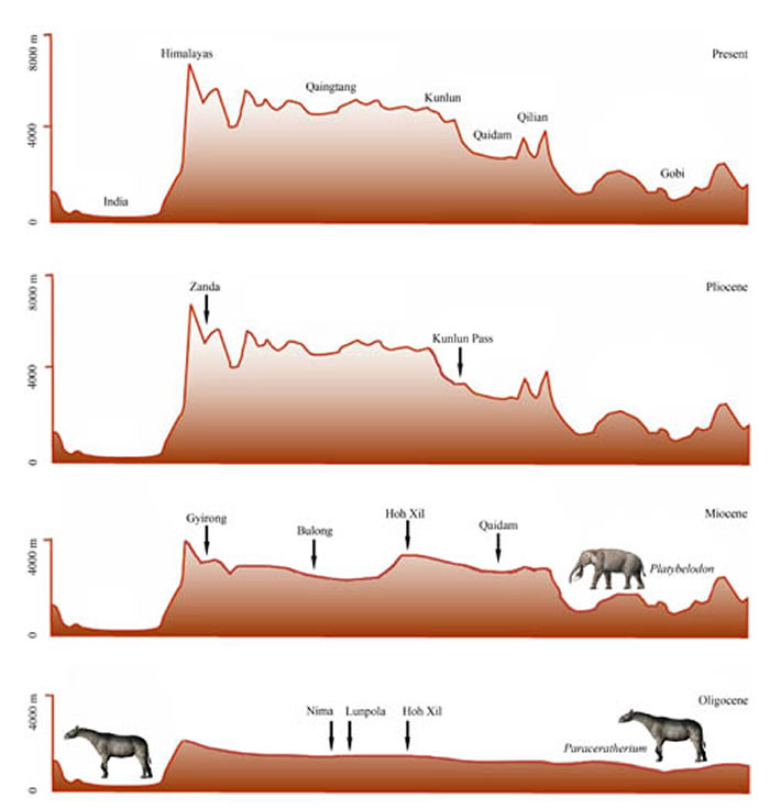 ��ظ�ԭ����������¡������ʷ���� �����ι�ͼ��