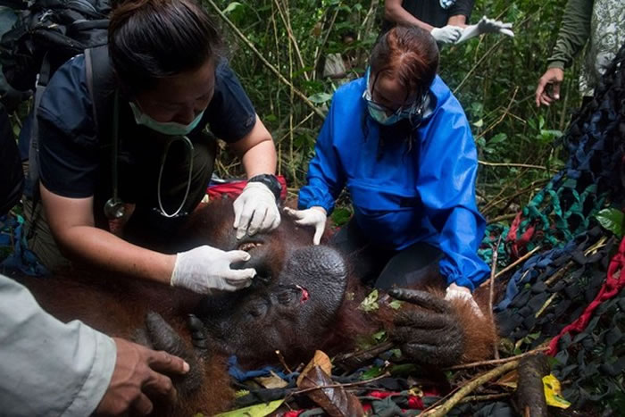 ղǳӳ𺣣ҲѾûȥѰֱѾԱ˵㰲ȫˡղŷ