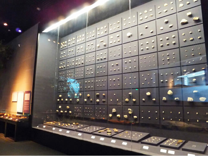 周口店出土的大量石器