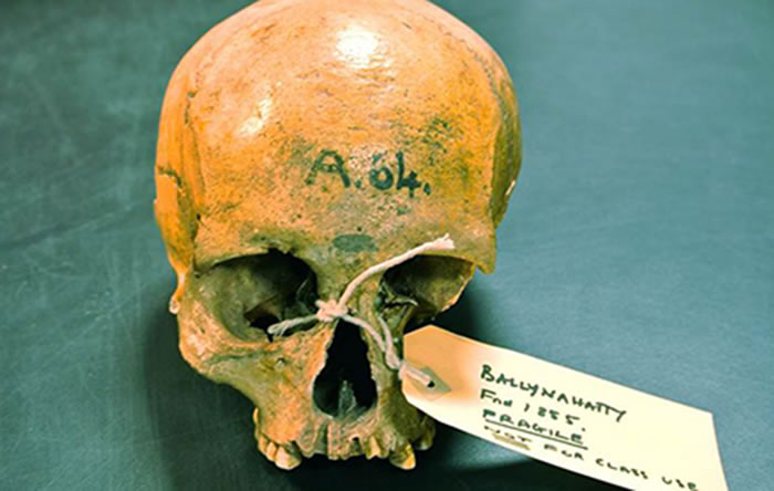 古代爱尔兰人在很大程度上拥有外来血统 - 神秘