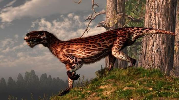 һֻ׼ԡ޵һࡣǵʱ˺ѣ