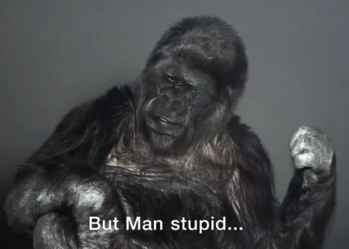 科科一句“愚蠢的人类”,犹如醍醐灌顶。