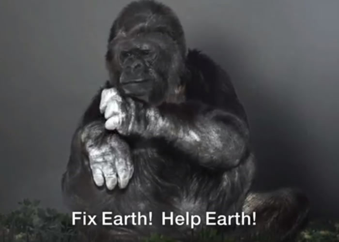 科科劝喻人类,拯救地球刻不容缓。