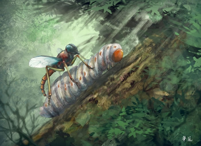 针虻生态复原图