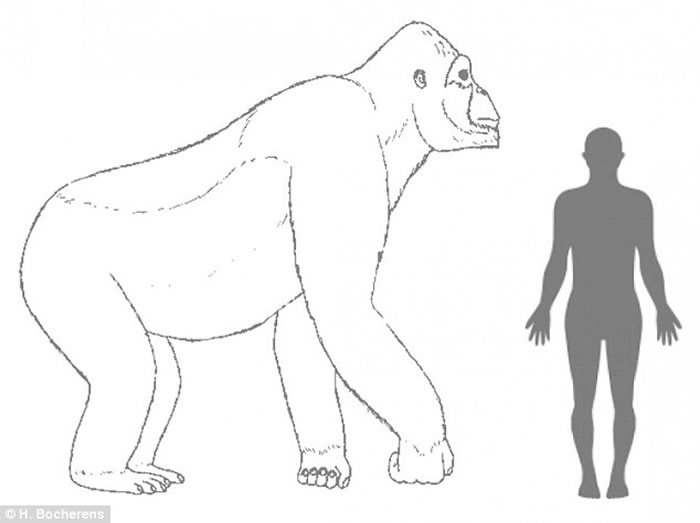 10ǰԶžԳڵʱǨɭֳΪԭӶʧȥϢʳԴʧ