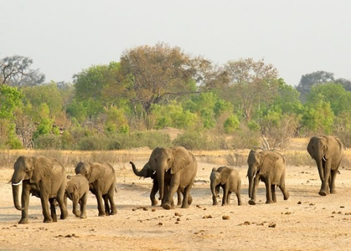 ��Ͳ�Τ����������й����ڴ���