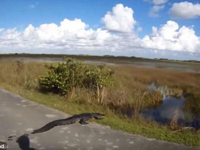 怀孕期间吸烟的女性所产婴儿的平均体重较不吸