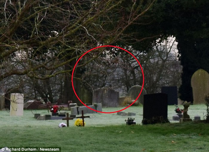 ӢҵӰʦһĹĵӰǱĹ