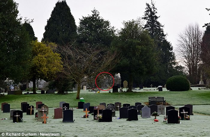 ӢҵӰʦһĹĵӰǱĹ