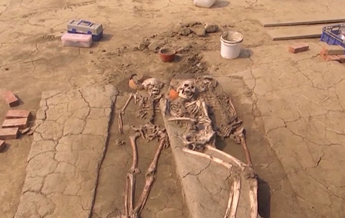 南科遗址工程挖掘出的人类骨骸