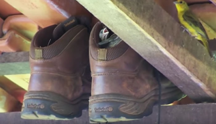 ˡҵЬҲ˼ûǣֱСɡȥΪֹ