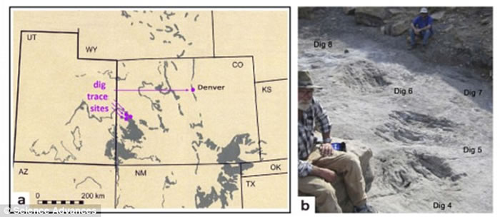 最新研究发现恐龙懂得“史前爱抚前戏”,交配前用爪子在地面上挖“爱巢”