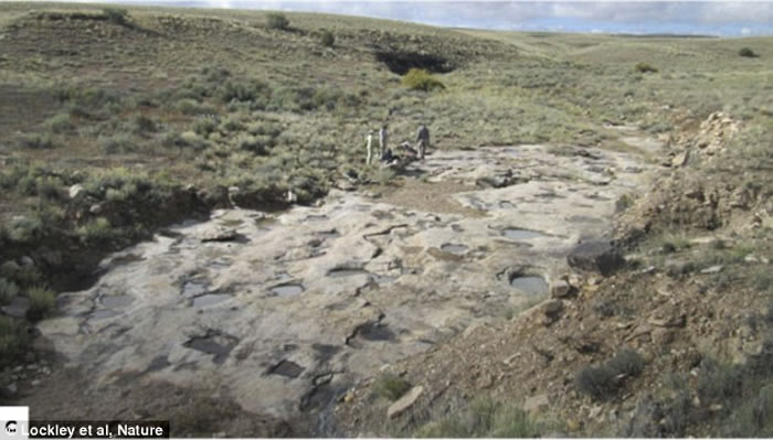 最新研究发现恐龙懂得“史前爱抚前戏”,交配前用爪子在地面上挖“爱巢”