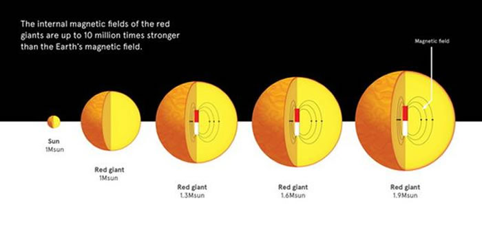 研究人员利用开普勒空间望远镜对数千颗红巨星进行了个，并开发了一种星震法来研究红巨星