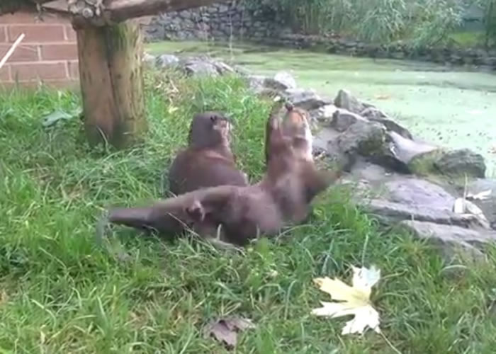 ʯͷżȻƫԶ�ˣ�Сˮ̡�Կ�����������׽ס��