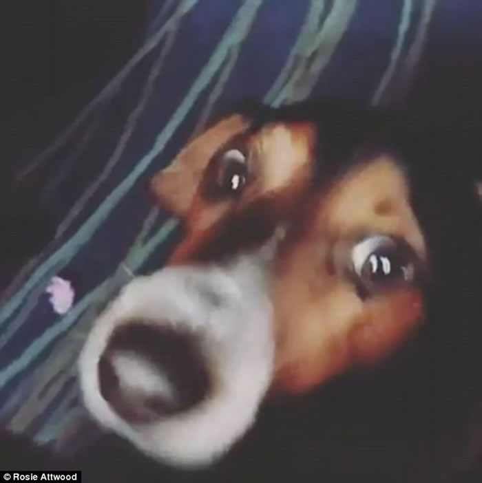 ����ϲ�����ž缯��������һ��߳���