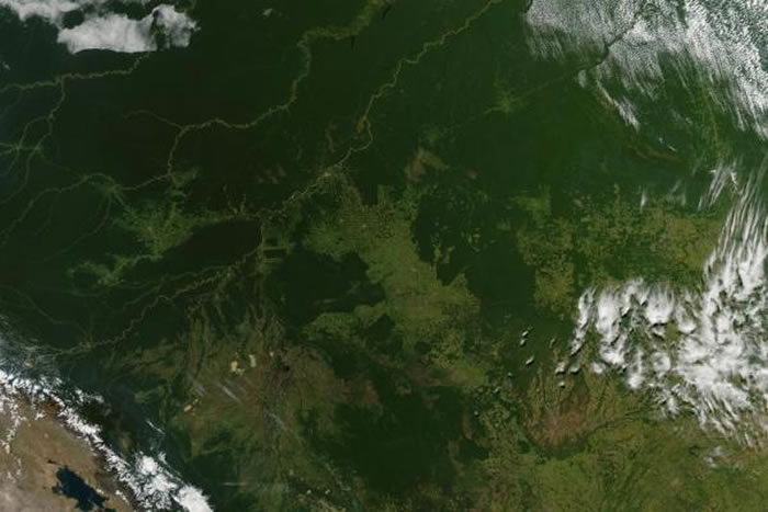 气候变化会导致亚马孙森林变为大草原