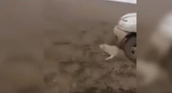 ��������Ϊ���ˣ�Ҳ��������Ϊƣ�ͣ���ֻ���޷�����Ҳ�޷�������