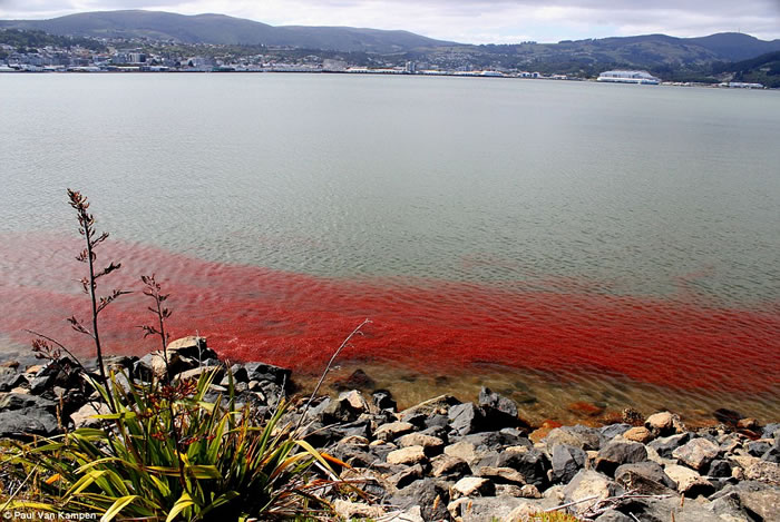 ���������ᶡ������뵺����ˮ��һ��ȺС��Ϻ��Ⱦ�족