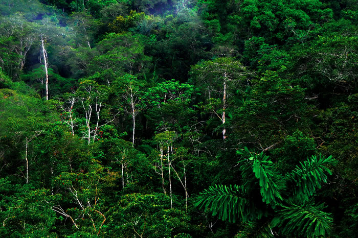 оʾһЩȴɭֺܿĩα