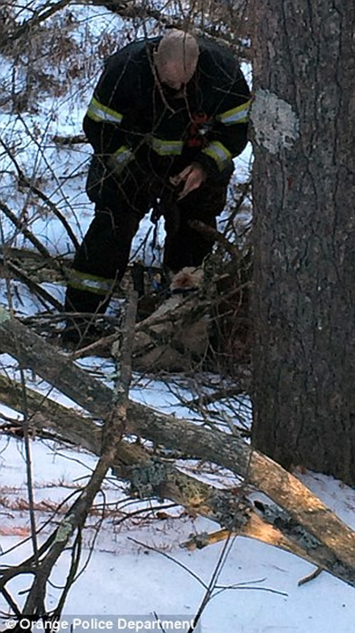 ����һ���ﹷ������Ȼر���ͬ��