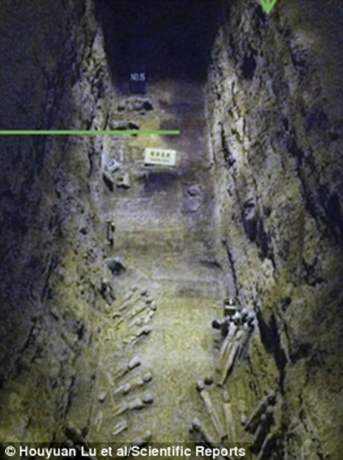 中国汉景帝陵墓考古出土世界最古老茶叶 距今2150年