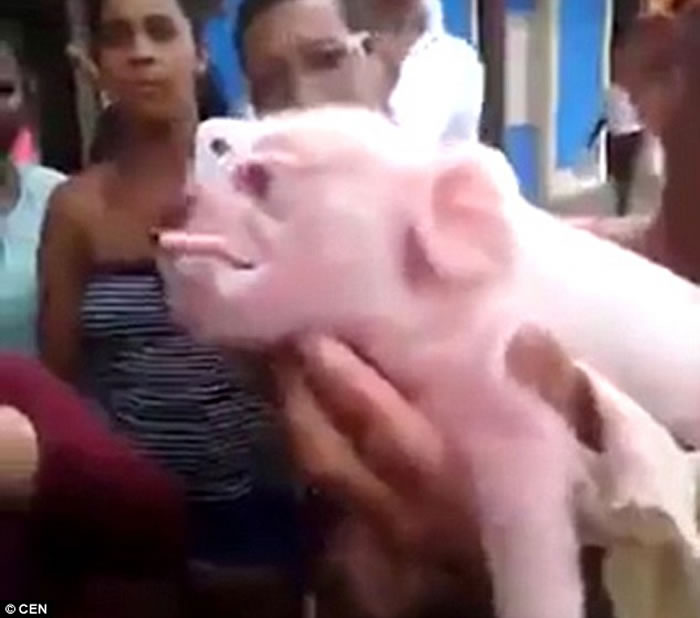 ���ձȺ����ҹŰ;��֡���������