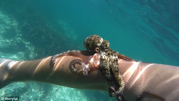 �Ĵ��������Ӹ�Ǳʱ���ⱻһֻС�����ס�ֱ���������