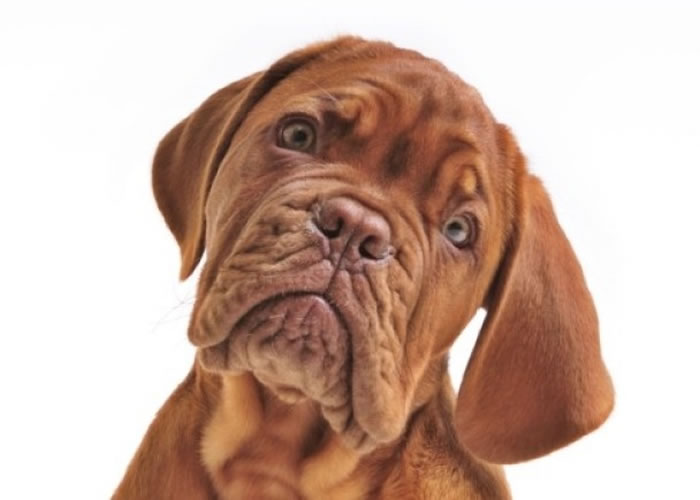 ����ԭ���ῴ�˵ġ�ϲŭ���֡���