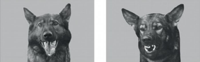 �о����ڹ�����ǰ�ų�ͬ�࿪�ģ��󣩼���ŭ���ң����顣