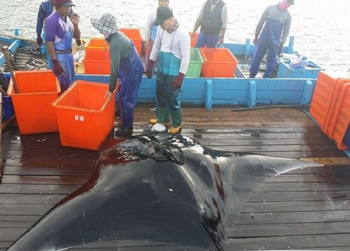 ̨泡Σ֡􄡱 ϴ󲻾ȥ