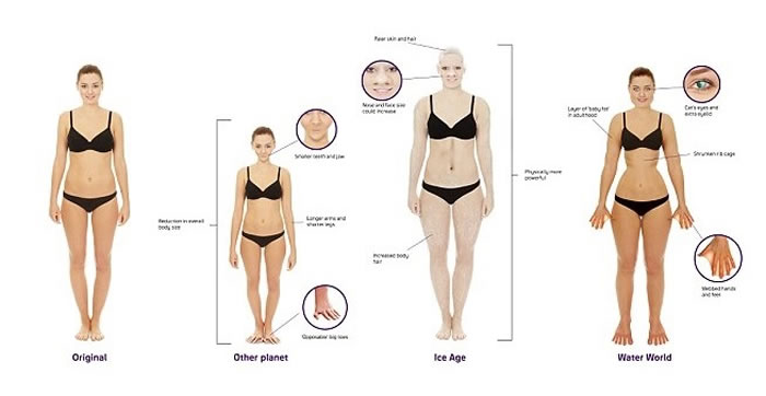 ������ˮ�����У��᳤��è�ۼ��롣