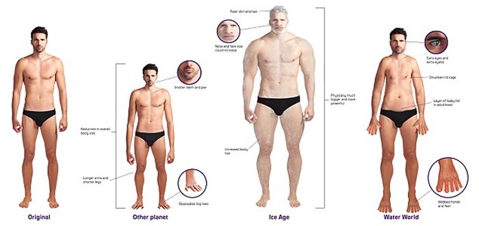 �����ڲ�ͬ�����µı仯��