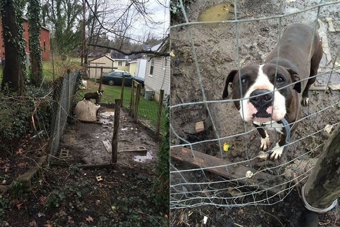 �����ɰ����������˷��� ÿ���ߵ������ҡβ�������ע