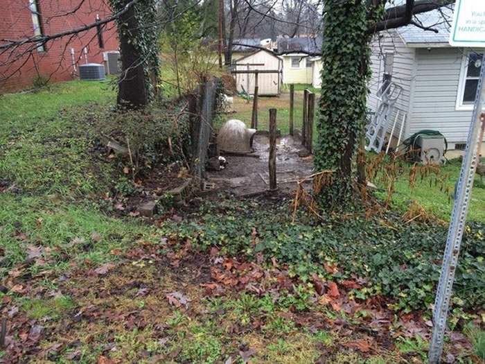 �µ���С��Ӱ��������