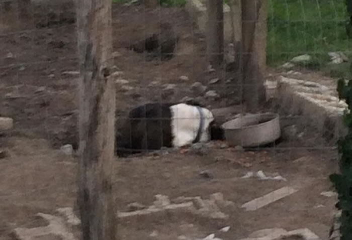 Demo��һ��ʵ��̫�䣬ֻ���ڶ��������档