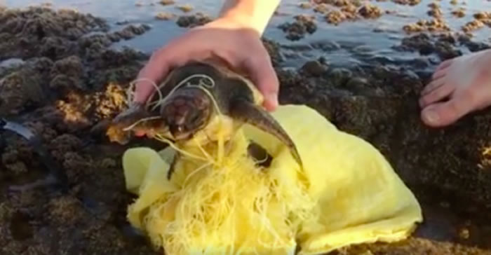 ��ɫ�г��˿;ȳ����������Ʋ��ӵ�С����