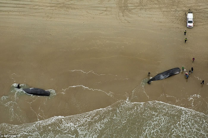 ��ͷĨ�㾨�ں���̩ɪ������̲�ϸ�ǳ������