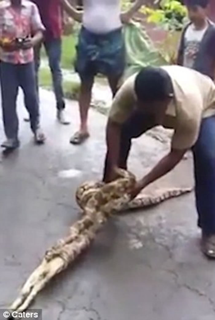 ӡ��ũ����ֿ�ȭ׽ס2�׳����ߣ�����2ֻ����Сɽ��