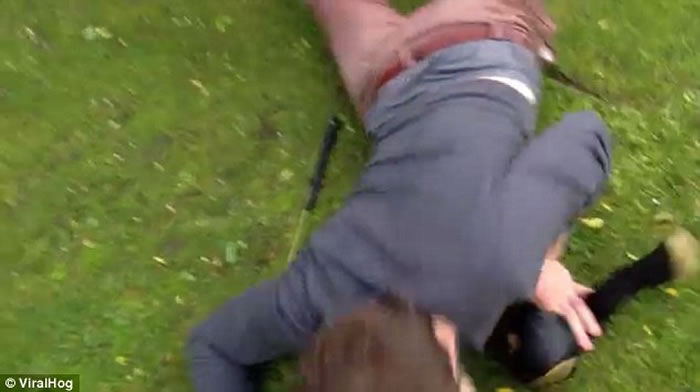 狐狸智斗打高尔夫男子致其栽倒狼狈不堪