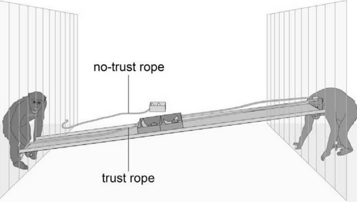 �о���Ա���á�������������Ϸ�����Ժ����ɡ�